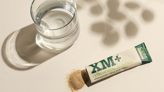 XM+ Core Moringa™  Energie-Drink-Pulver - AKTION